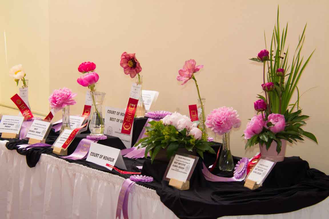 Court Of Honour Ribbons