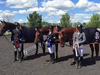 Horse Ribbons Canada