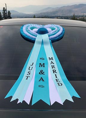 Just Married Custom Ribbon
